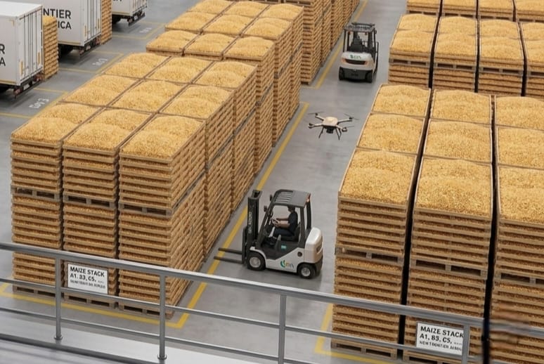 Food Supplies - Maize